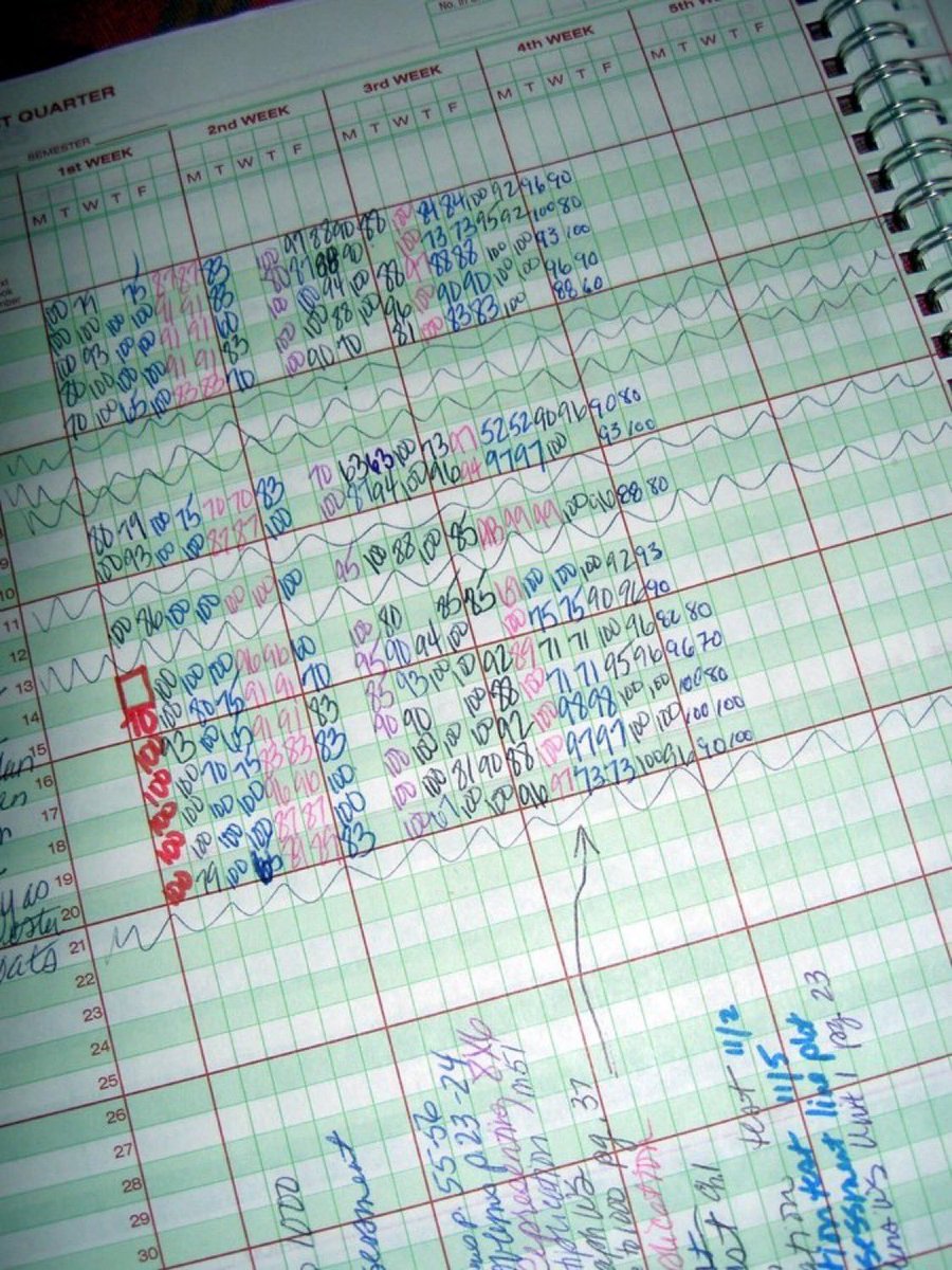 the teacher's grade book