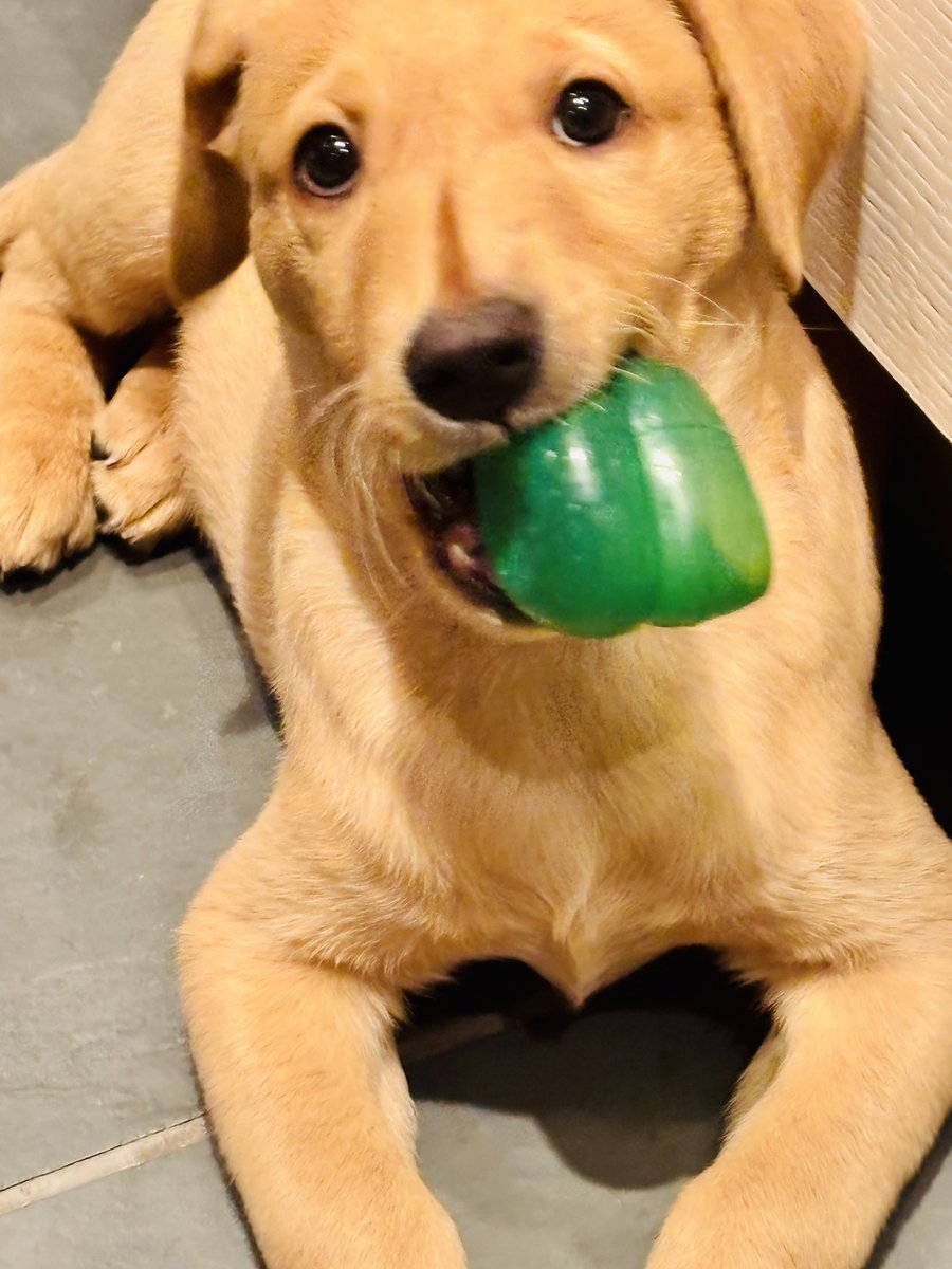 Mark Kelly (JASON WARD🎭) tweet media