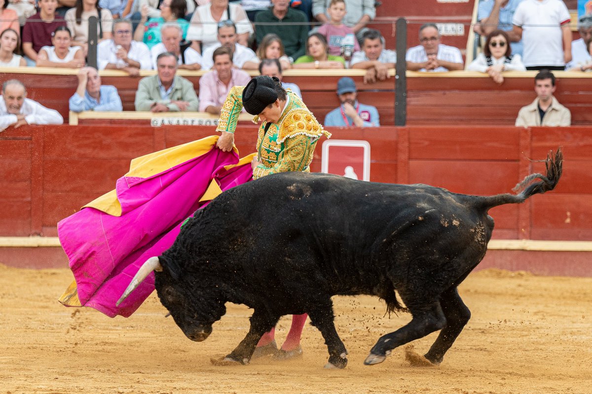 Circuito de Novilladas de Castilla y León tweet media