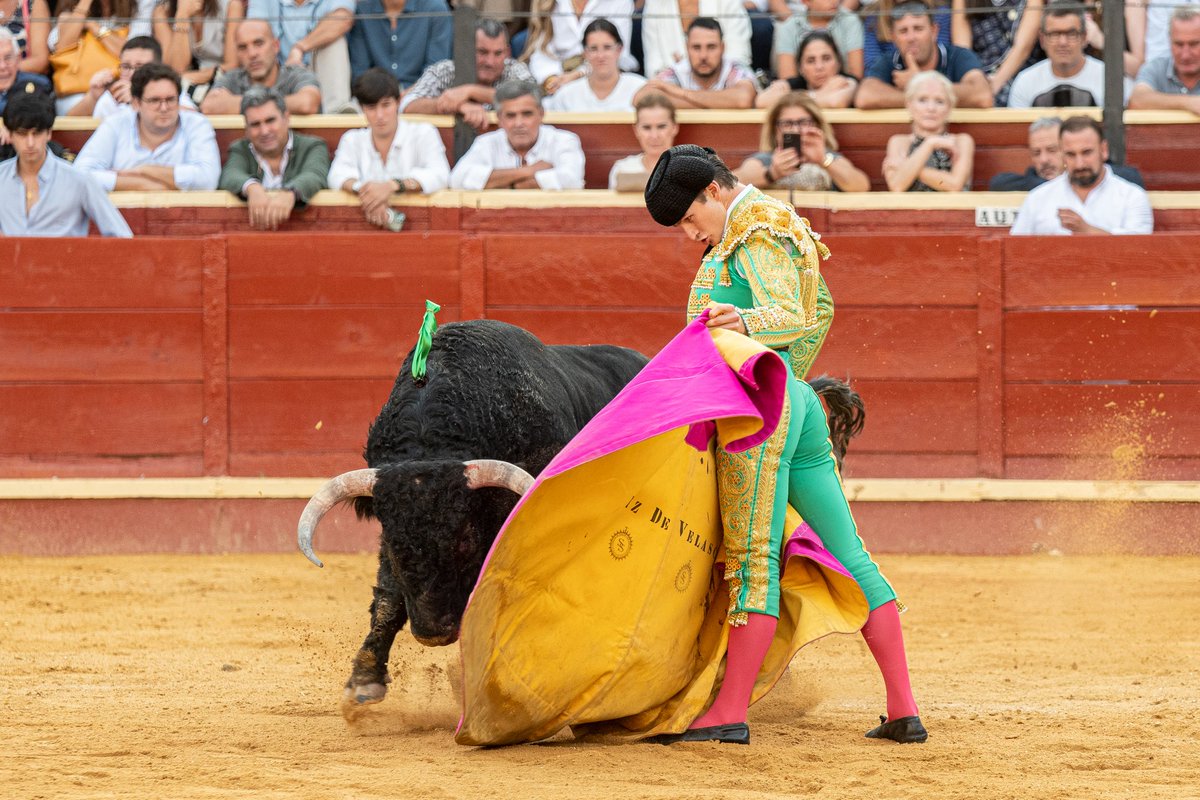 Circuito de Novilladas de Castilla y León tweet media