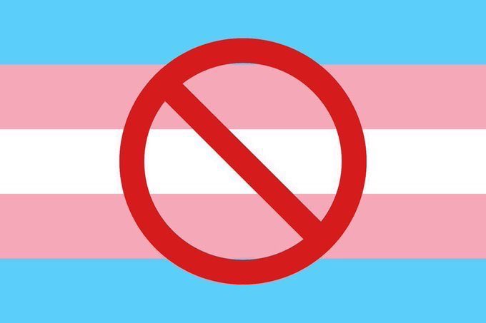 Coinvo's tweet image. INSANE: 🇺🇸 US House passes bill to ban transgender surgeries for children.