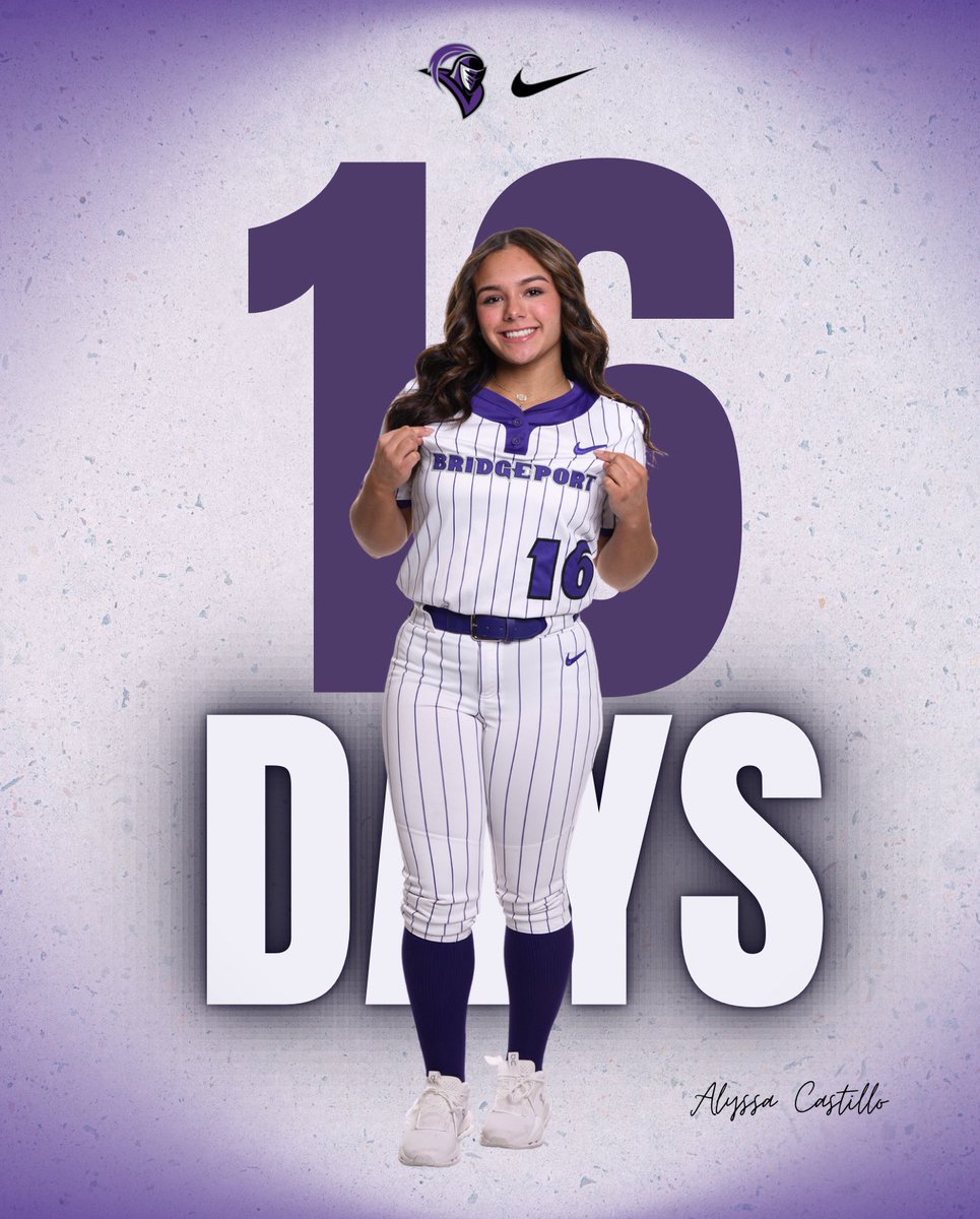 UB Softball tweet media