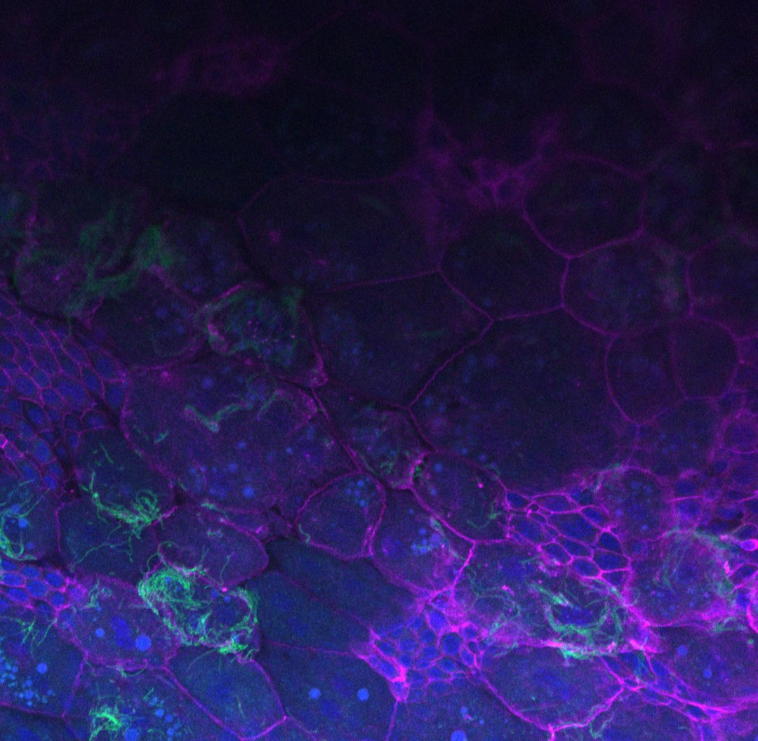 UTI Global Alliance tweet media