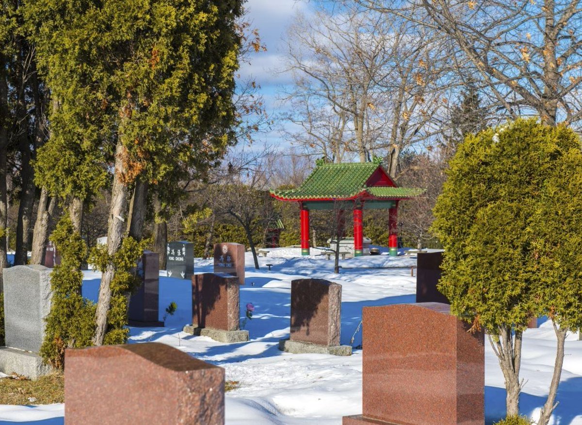 Give your family clarity, not uncertainty.
This free guide outlines four practical steps to help you plan with confidence and reduce stress later.
👉 hubs.li/Q03ZsrrS0
#EndOfLifePlanning #PeaceOfMind #FamilyFirst