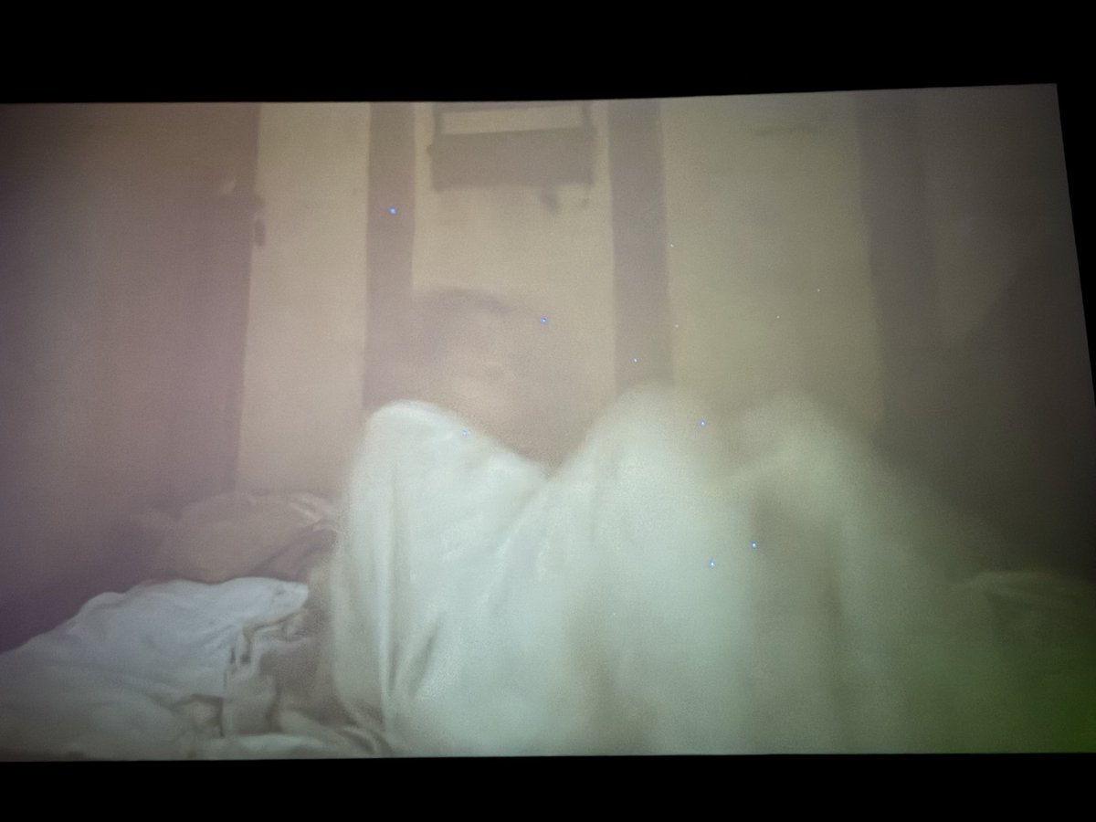 nat 🦋 tweet media