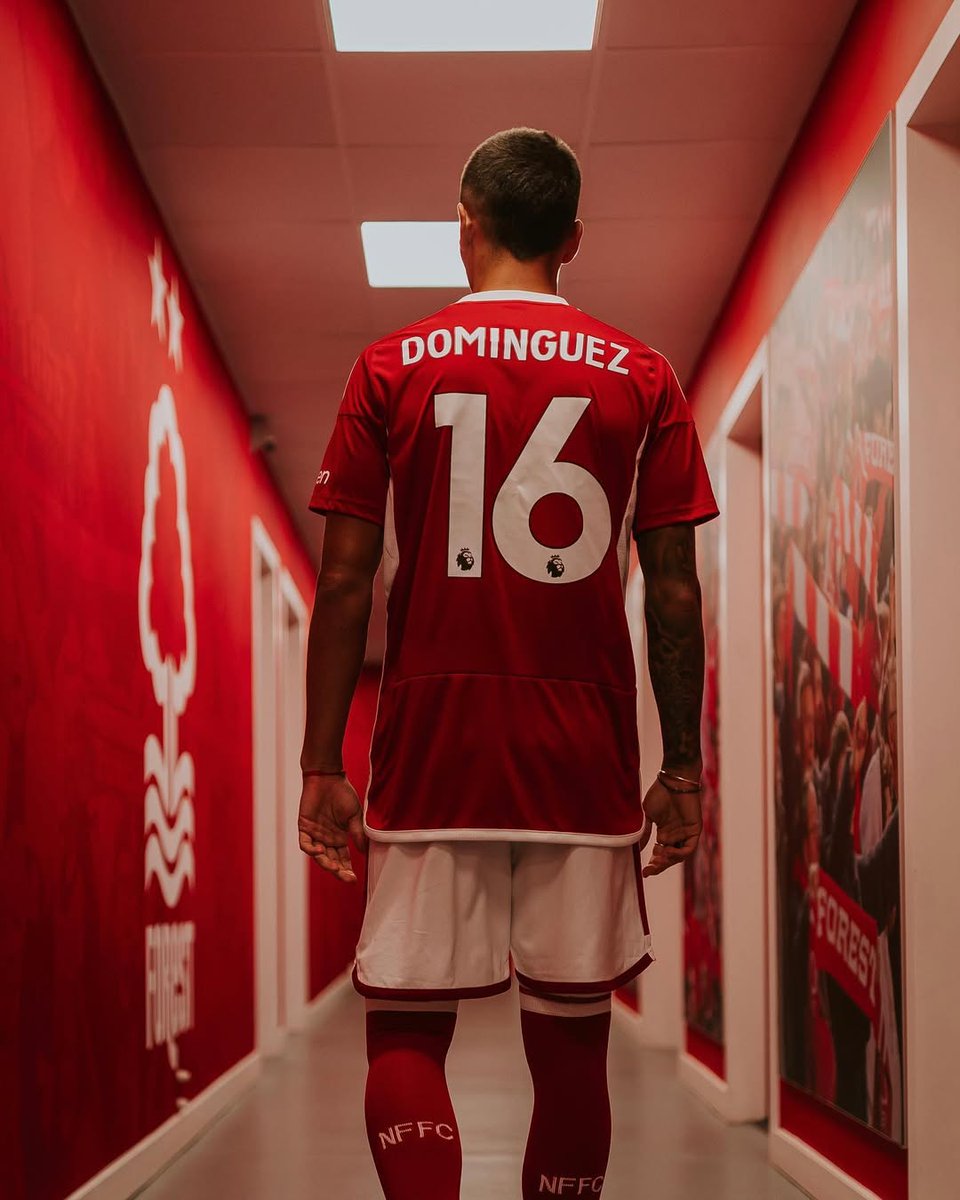 Estoy a un Nico Domínguez de los 1500, muchas gracias de verdad 🫂♥️🌳