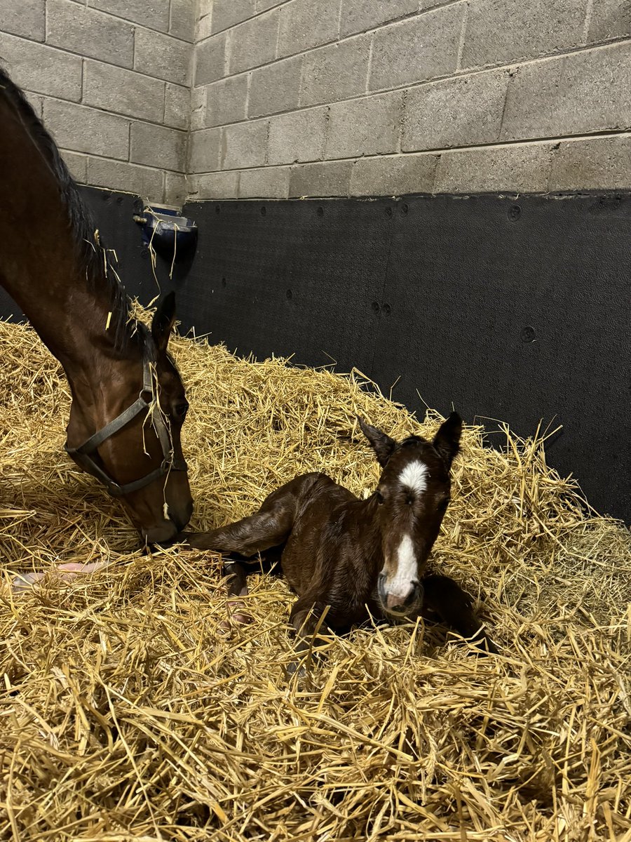 Clare Manning tweet media