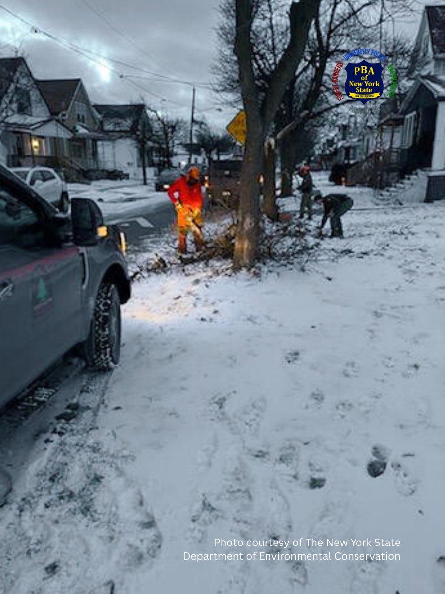 PBA of NYS tweet media