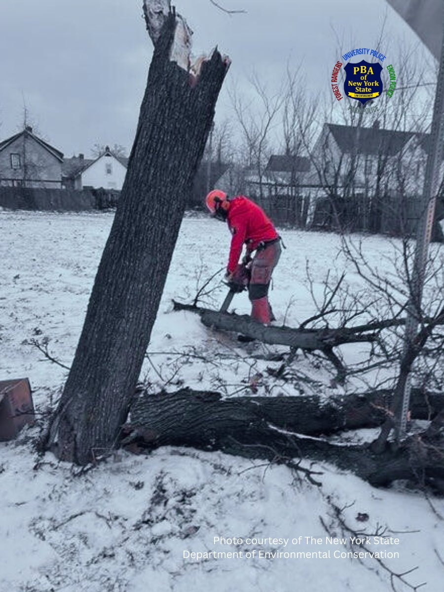 PBA of NYS tweet media