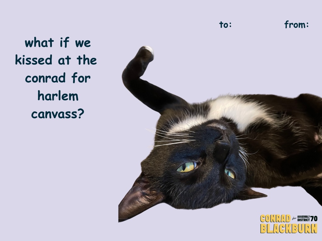 YERRRR‼️ We're canvassing again this Sunday, and this time with <a href="/DarializaforNY/">Darializa for Congress</a> and <a href="/nycDSA/">NYC-DSA 🌹</a>. Send this to your crush and come canvass together 👀