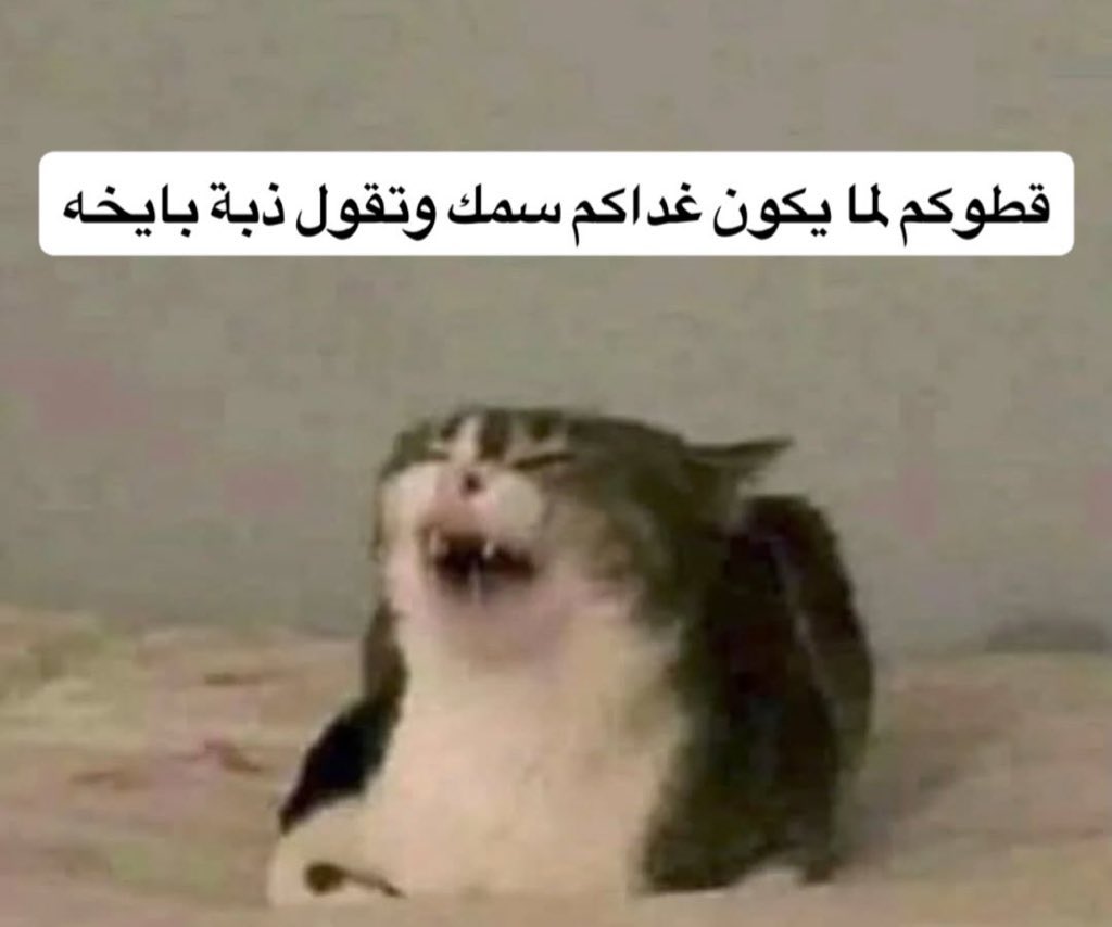 Rً (@cvbi7_) on Twitter photo 