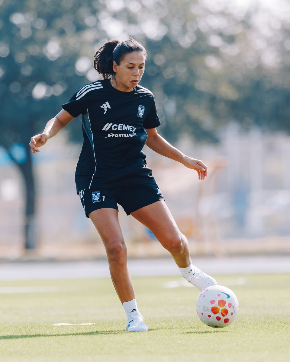 Club Tigres Femenil 🐯 tweet media