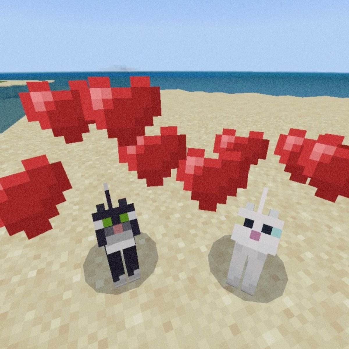 daily cats ♡ tweet media