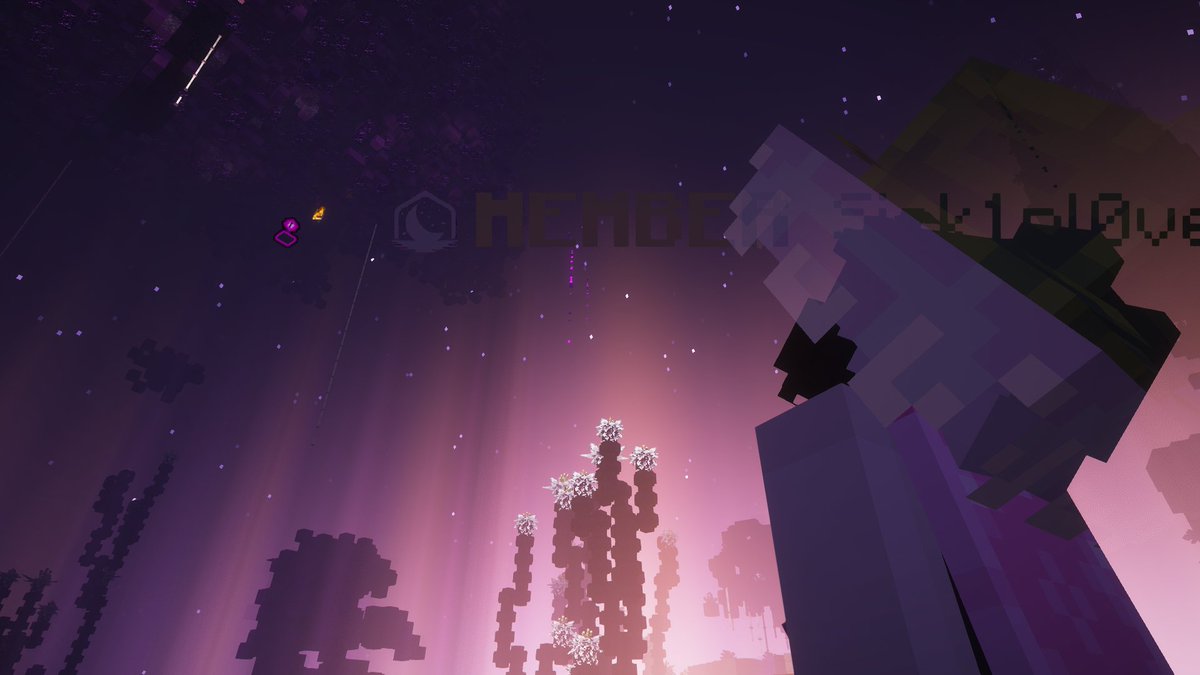 Starless ⭐︎ tweet media