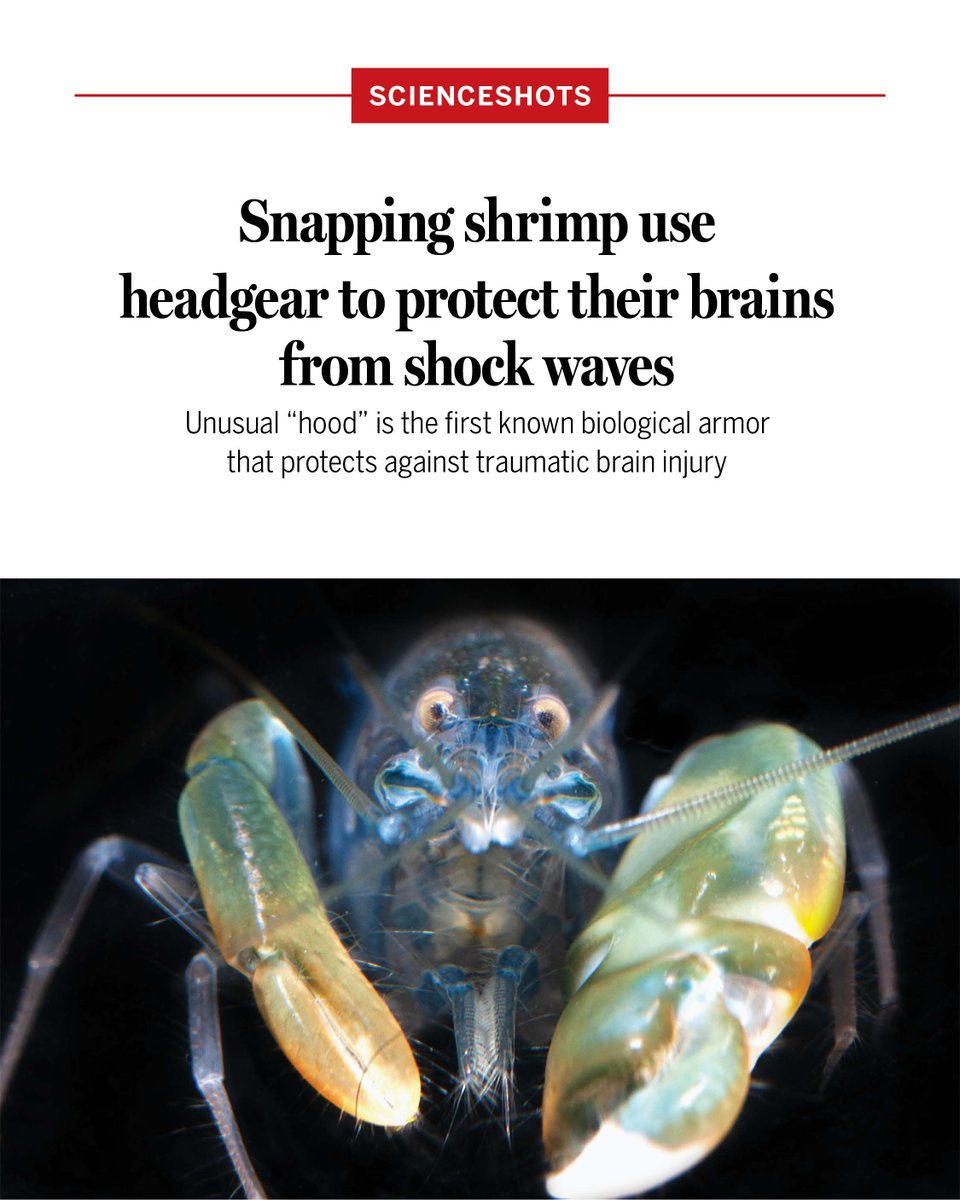 News from Science tweet media