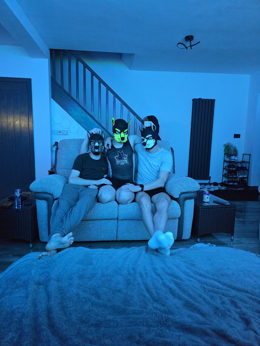 Chaos Deer 🔜 animalz, EF tweet media