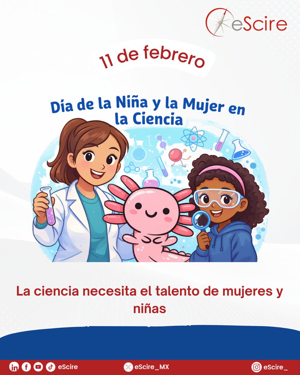 eScire Consultoría tweet media