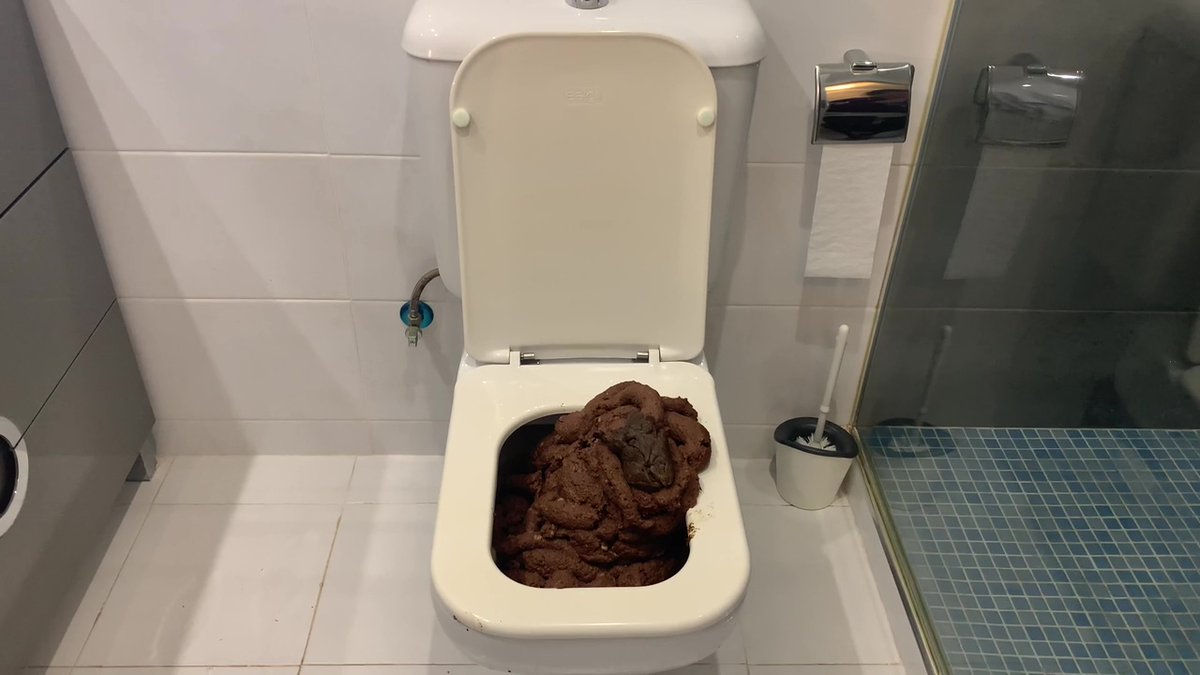 ShellynaMendes's tweet photo. This was last Thursday, I'm going to poop right NOW (Wednesday) and I'll show you the result tomorrow
💩💩💩💩
on https://t.co/ChjiDYv5CB firstly https://t.co/Db1UxBVDO3