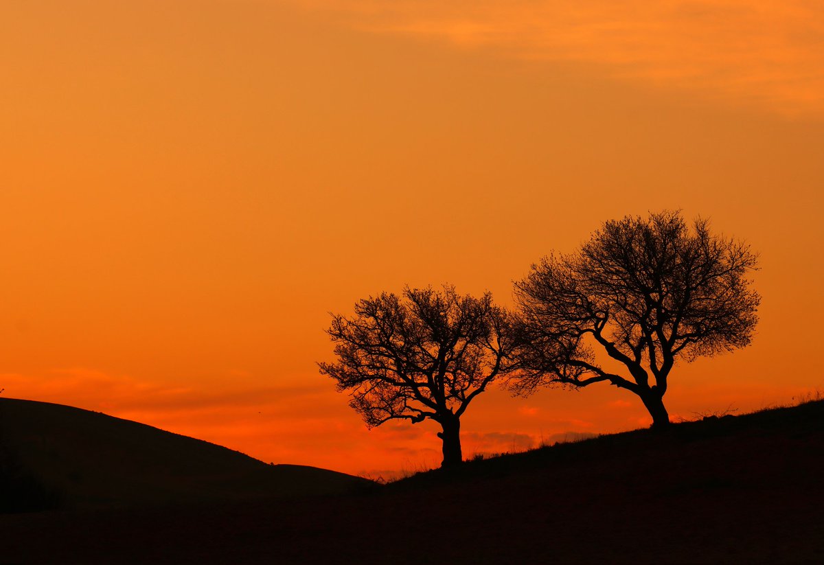 Abbas Rahmani tweet media