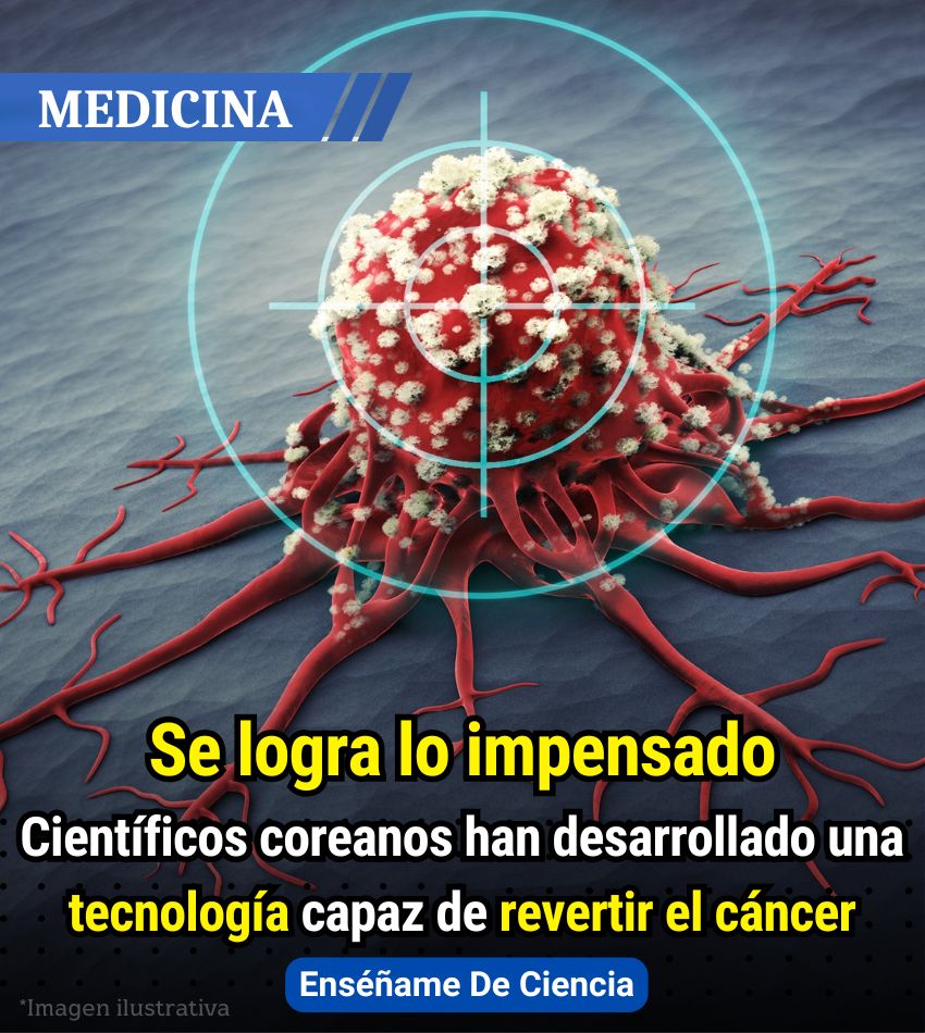 🔴Gracias a un equipo de científicos del Instituto Avanzado de Ciencia y Tecnología en Corea (KAIST), se descubrió que hay una manera en la que se puede contrarrestar el cáncer. Mediante un interruptor molecular, es posible revertir la enfermedad al convertir las células