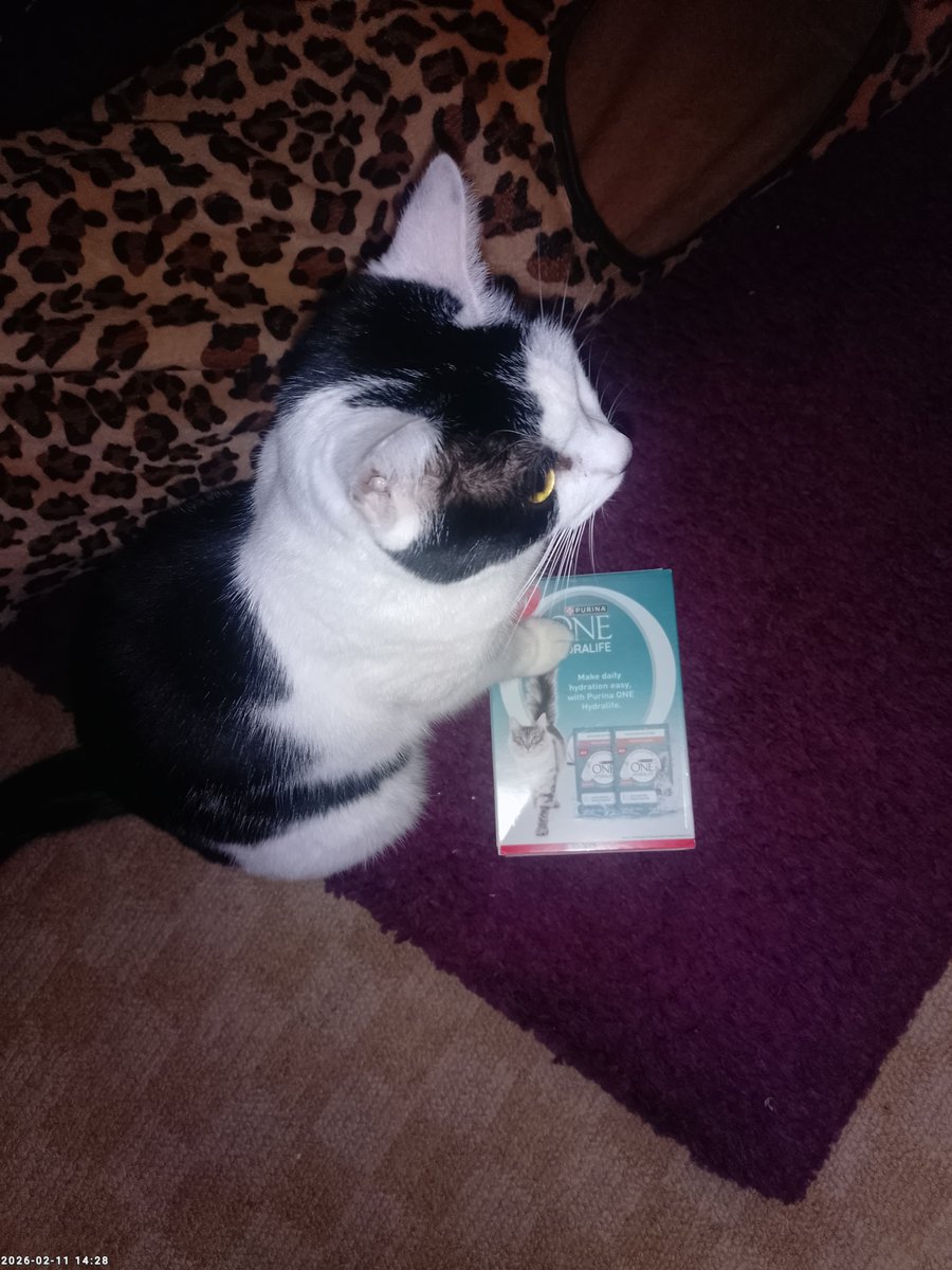 Abi 🌈Rainbow Princess🌈 & Ava tweet media