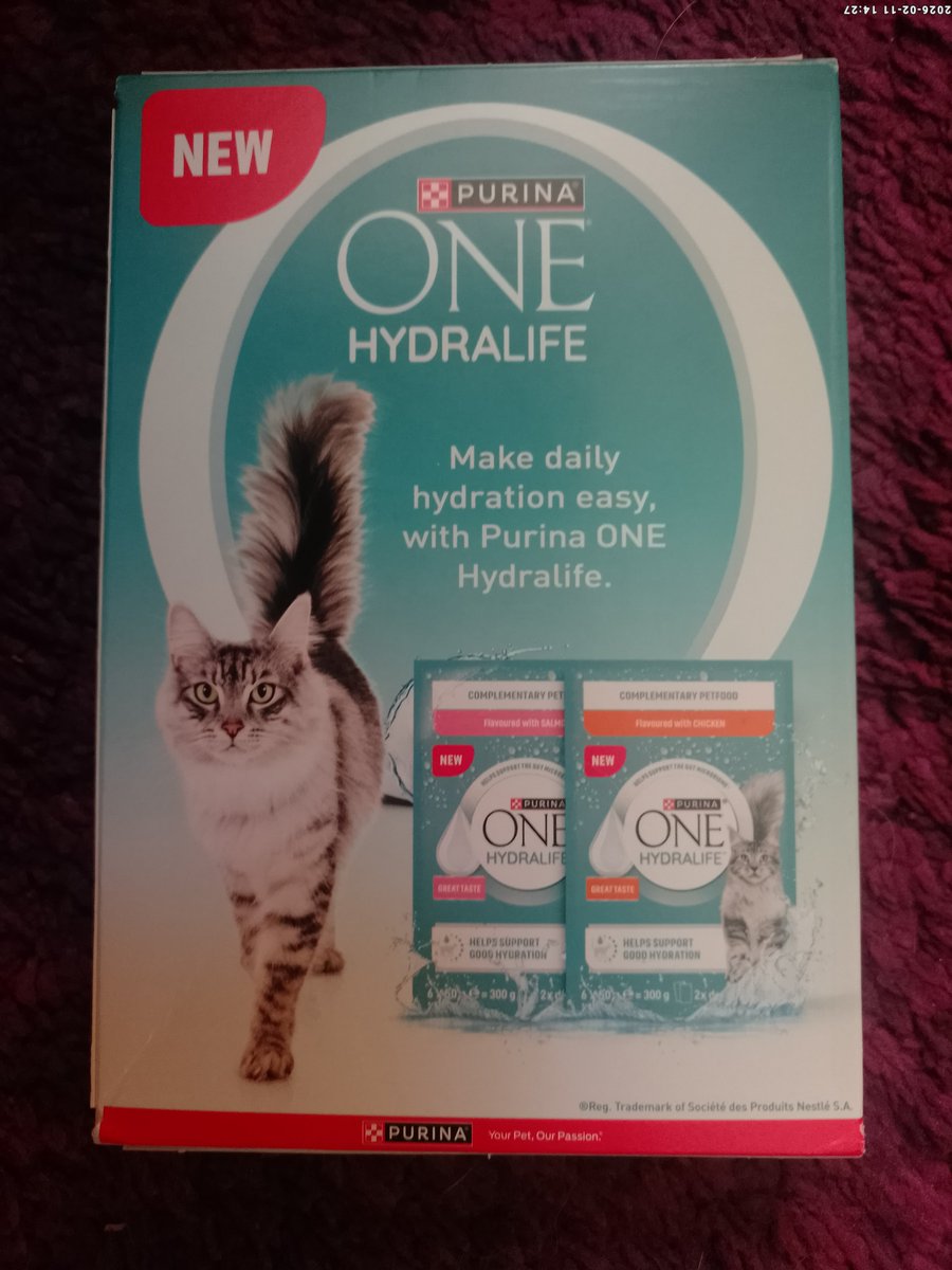 Abi 🌈Rainbow Princess🌈 & Ava tweet media