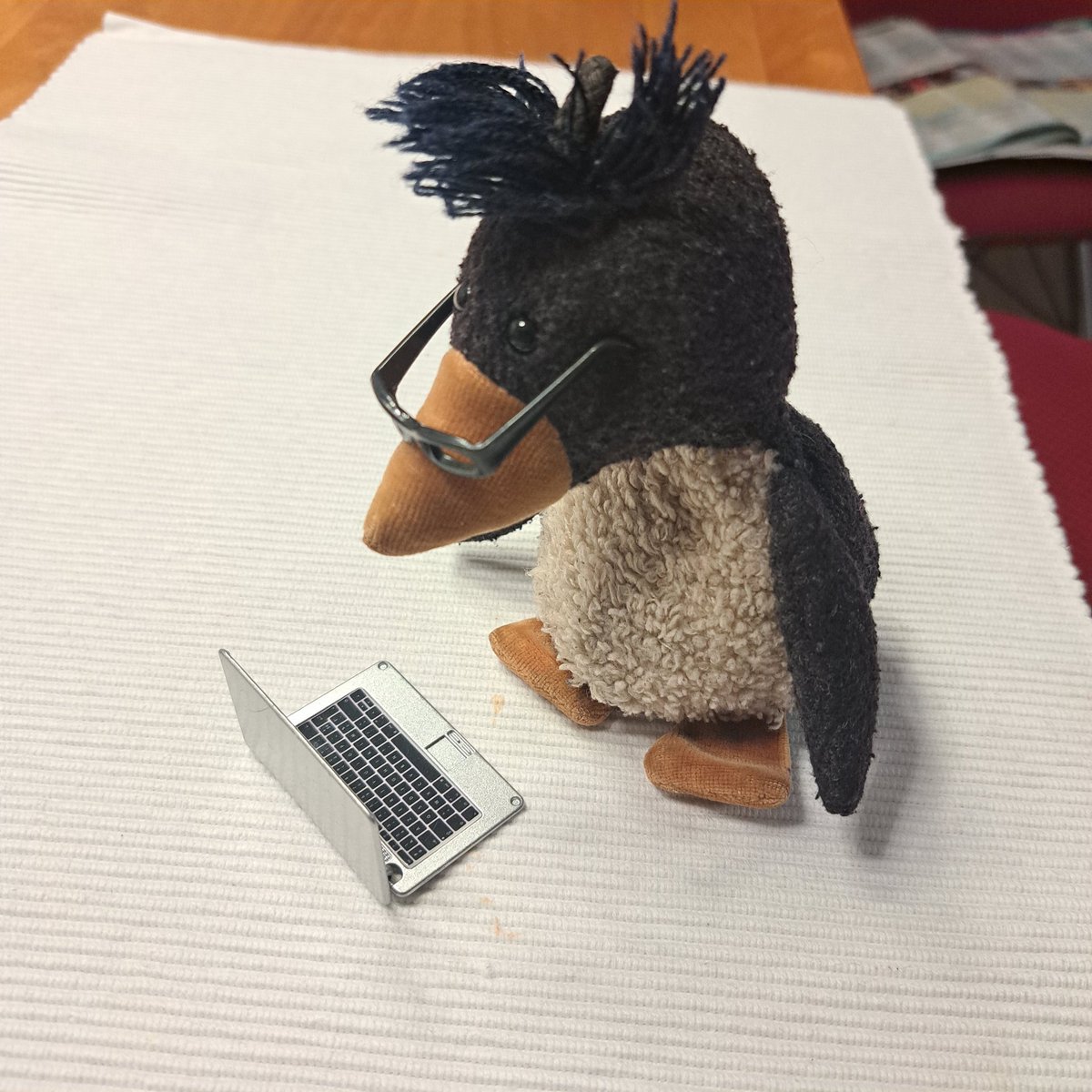 Ottokar 🐧 tweet media