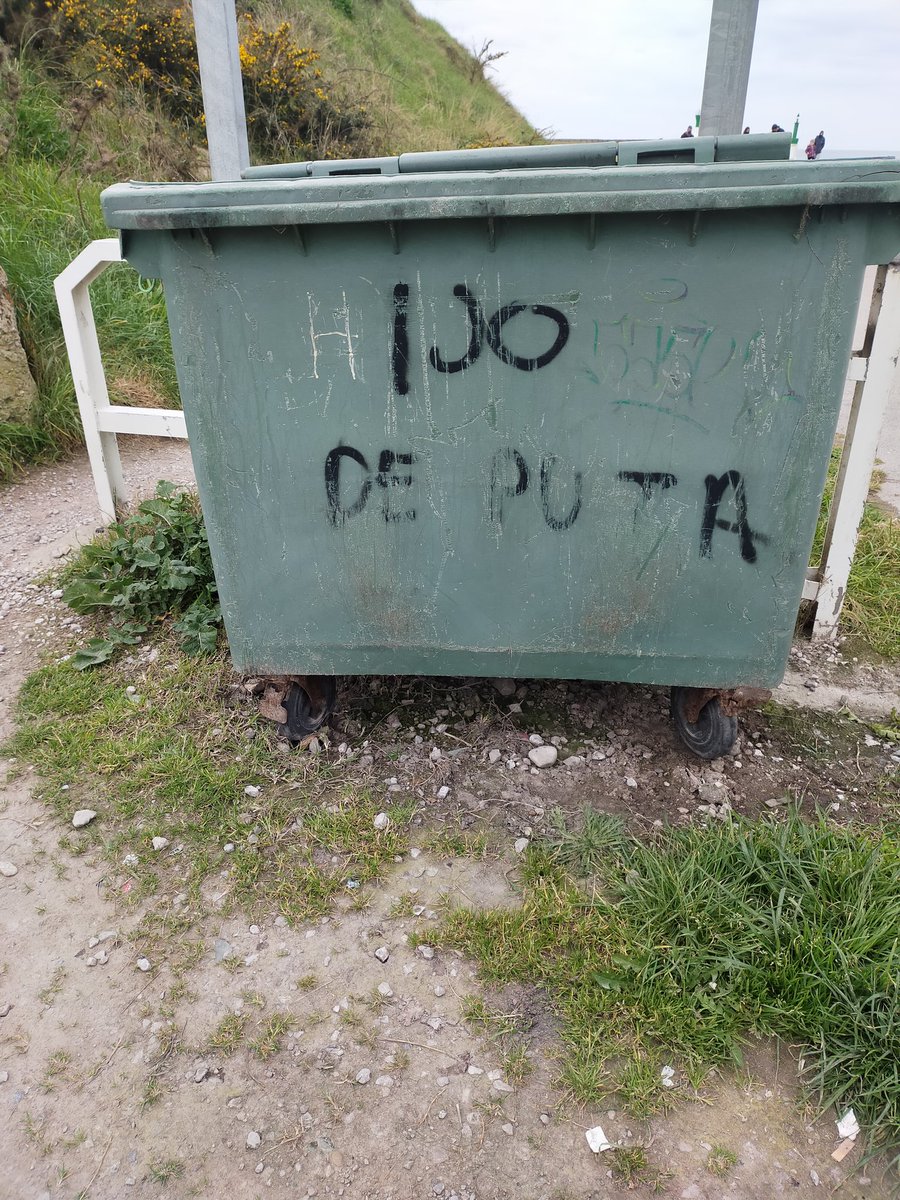 Corre una ligera brisa🤔