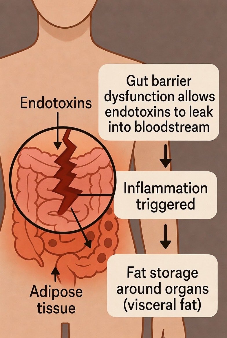 Farving🙆⭐️ tweet media