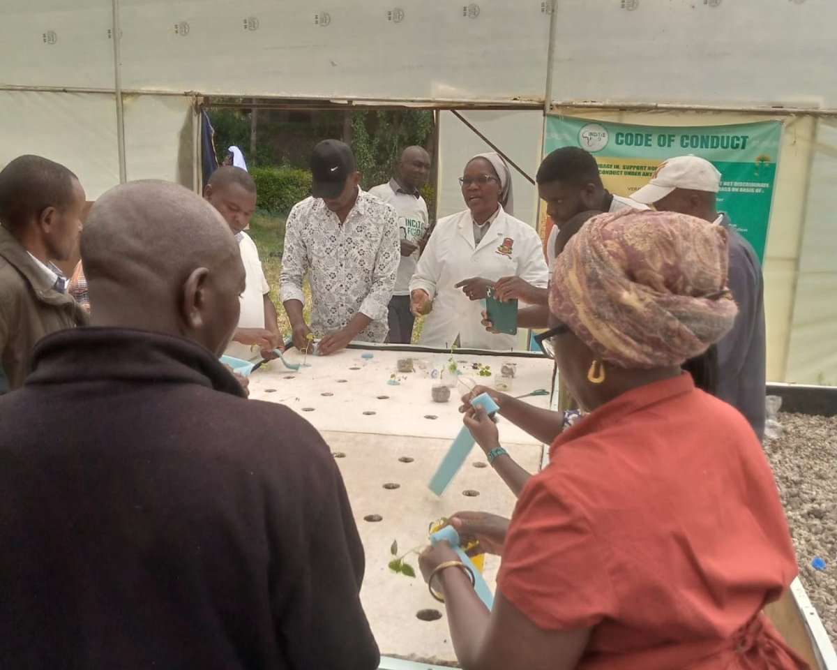 African Sisters Education Collaborative (ASEC) tweet media