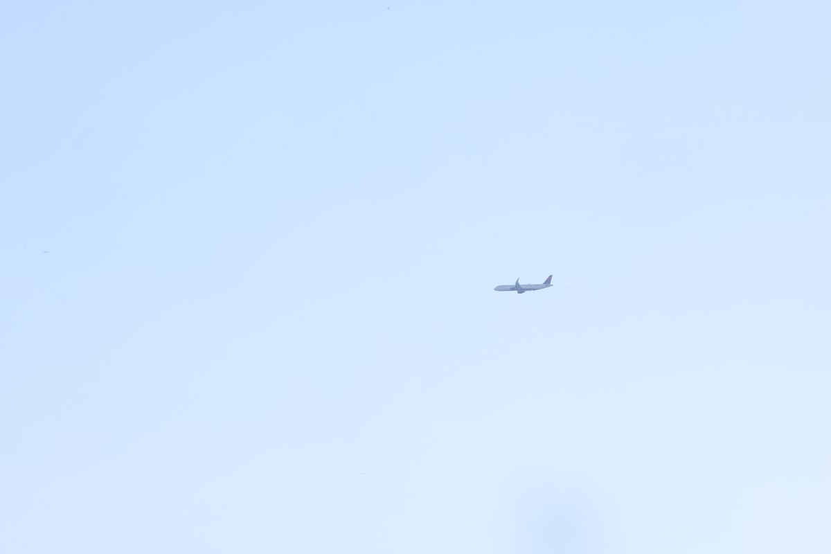 Taylor Korzeniewski tweet media