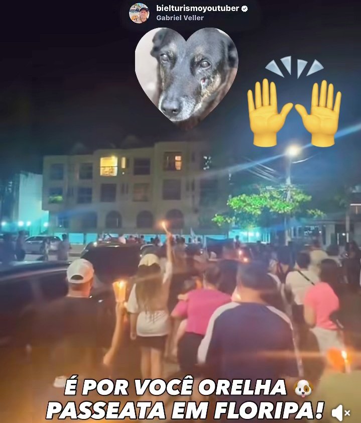 lola19803789's tweet photo. É justiça. Não deixe virar estatística. Compartilhe. Fale. Cobre. 

🐾 Justiça por Orelha. #JustiçaPorOrelha #ContraMausTratos VozDosInocentes DireitosAnimais nãoàimpunidade #FEDERALIZAORELHA https://t.co/b3oKj6I0Y6
