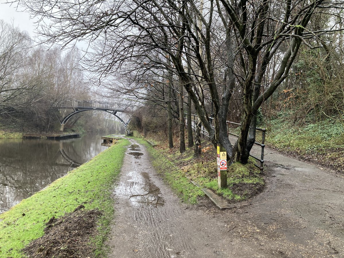 Blue loop tweet media