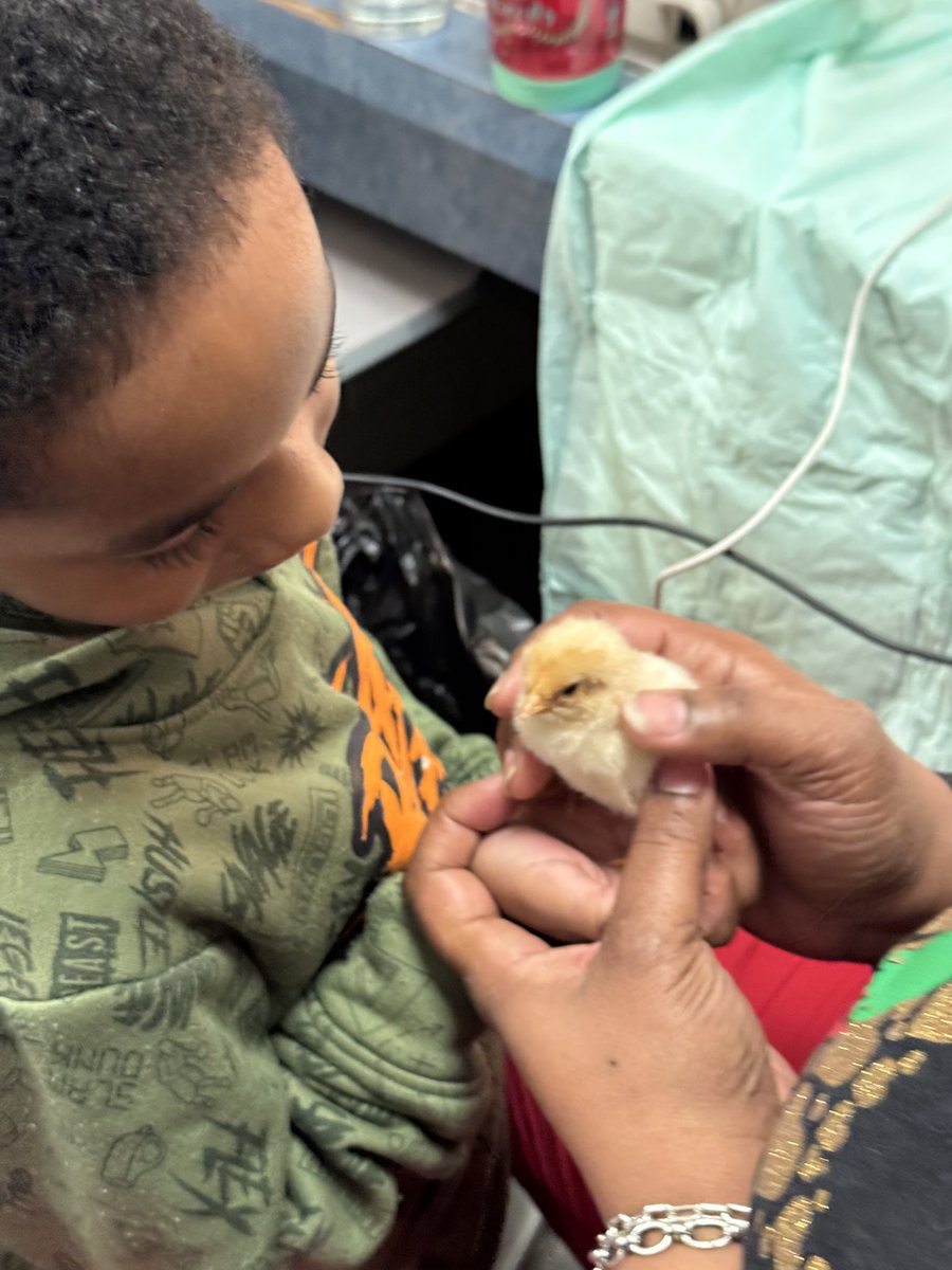 Wesley Lakes Elementary tweet media