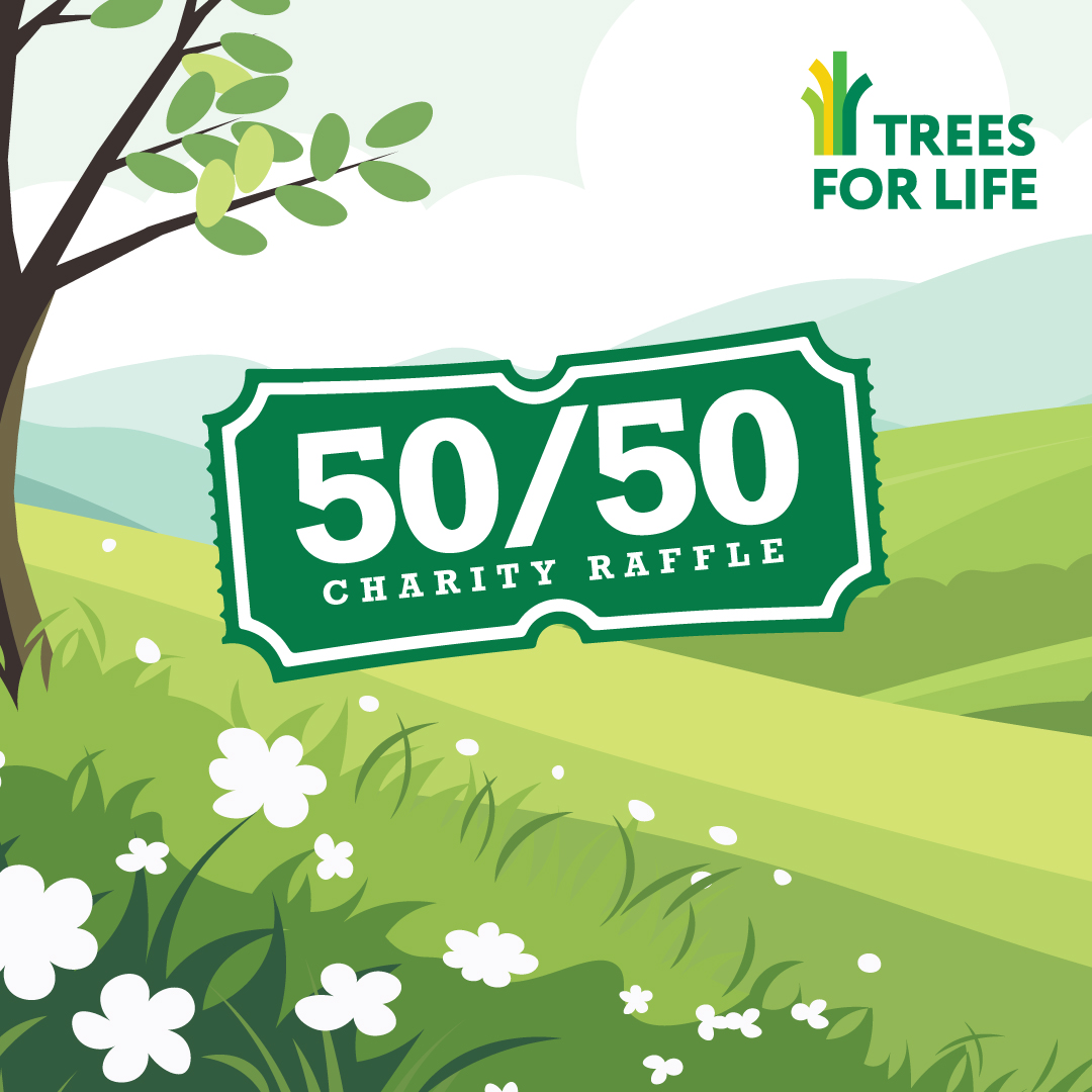 Trees for Life tweet media