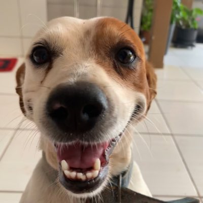 FernandaBrollo's tweet photo. #NovaFotoDePerfil https://t.co/m0lw24JIGp