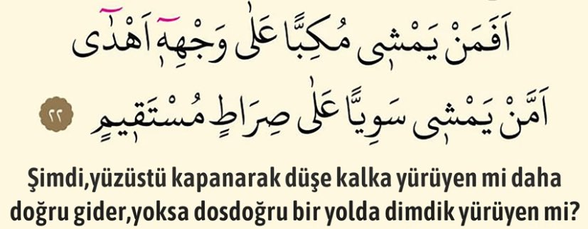 haticeedrr's tweet photo. Mulk-22 https://t.co/p0U3yMBotv