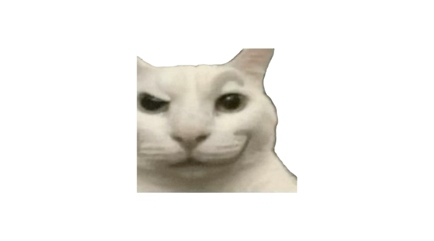 WhatYouThink⁷ tweet media