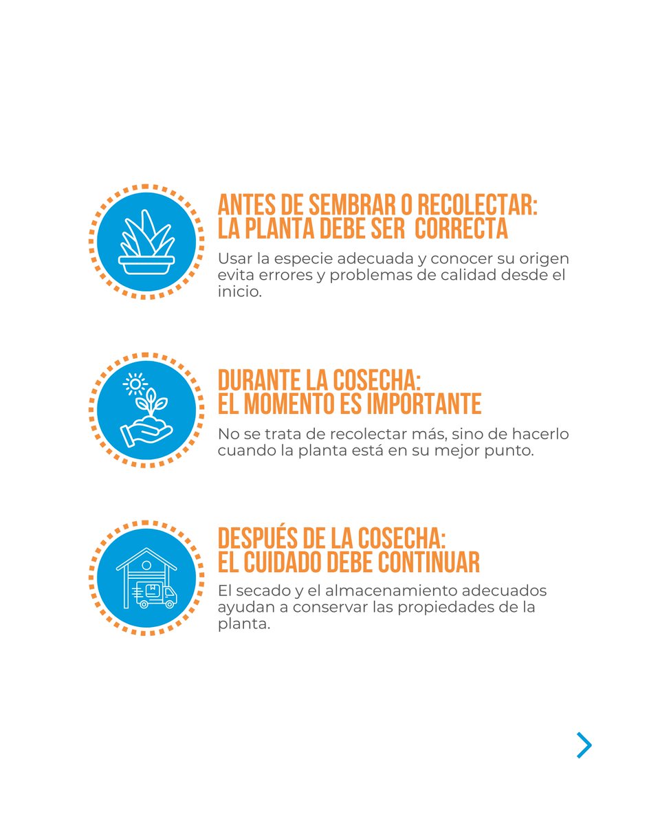 GQSP Colombia tweet media