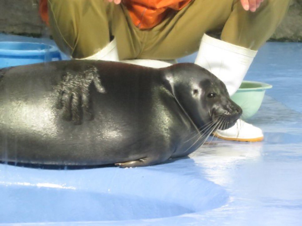 the mark of the beast