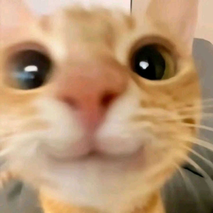 este tema me deja así
open.spotify.com/intl-es/track/…