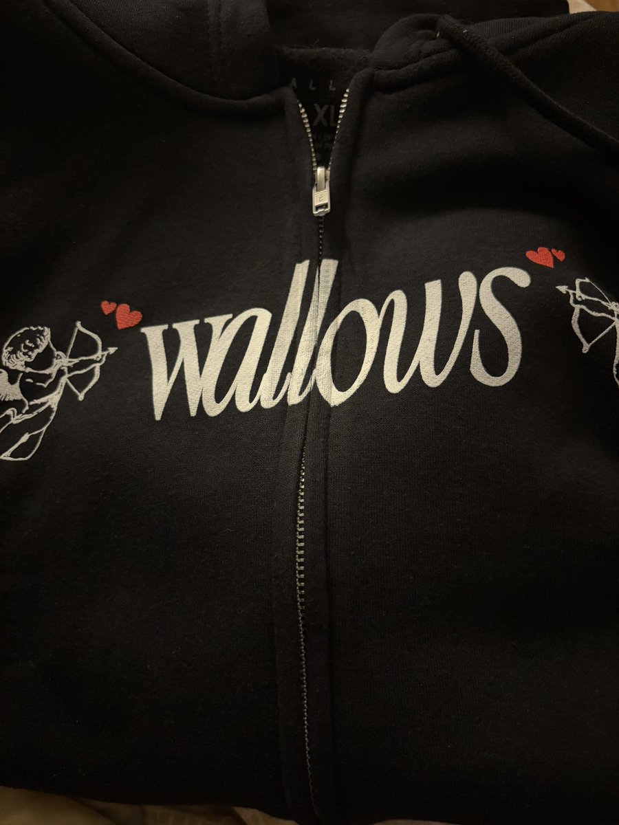 drelovesbrae's tweet photo. My Wallows merch got delivered! No Polaroid but I’m going to pretend this random sticker on it means I was supposed to be 1/15 lol @wallowsmusic https://t.co/C1l5lbND0x