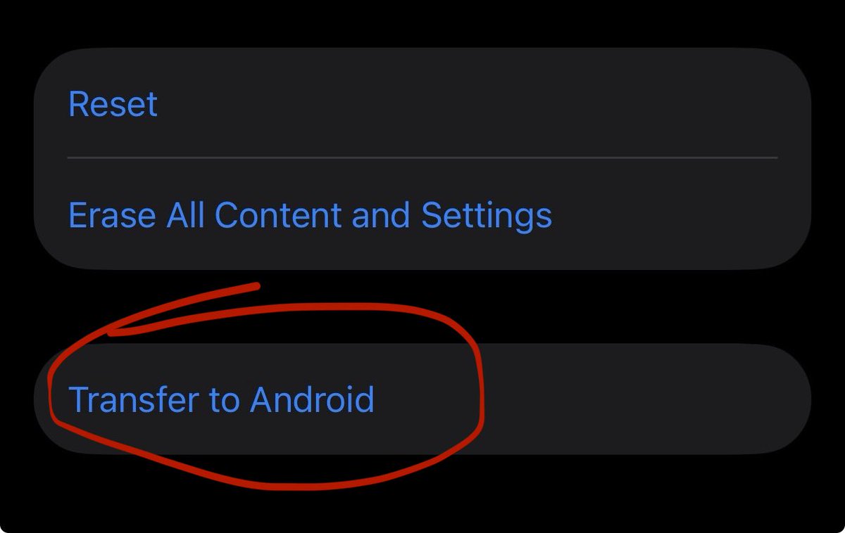 Noah Cat tweet media