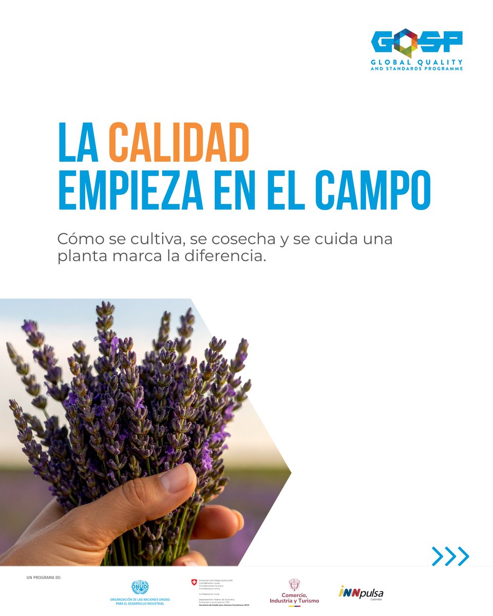 GQSP Colombia tweet media