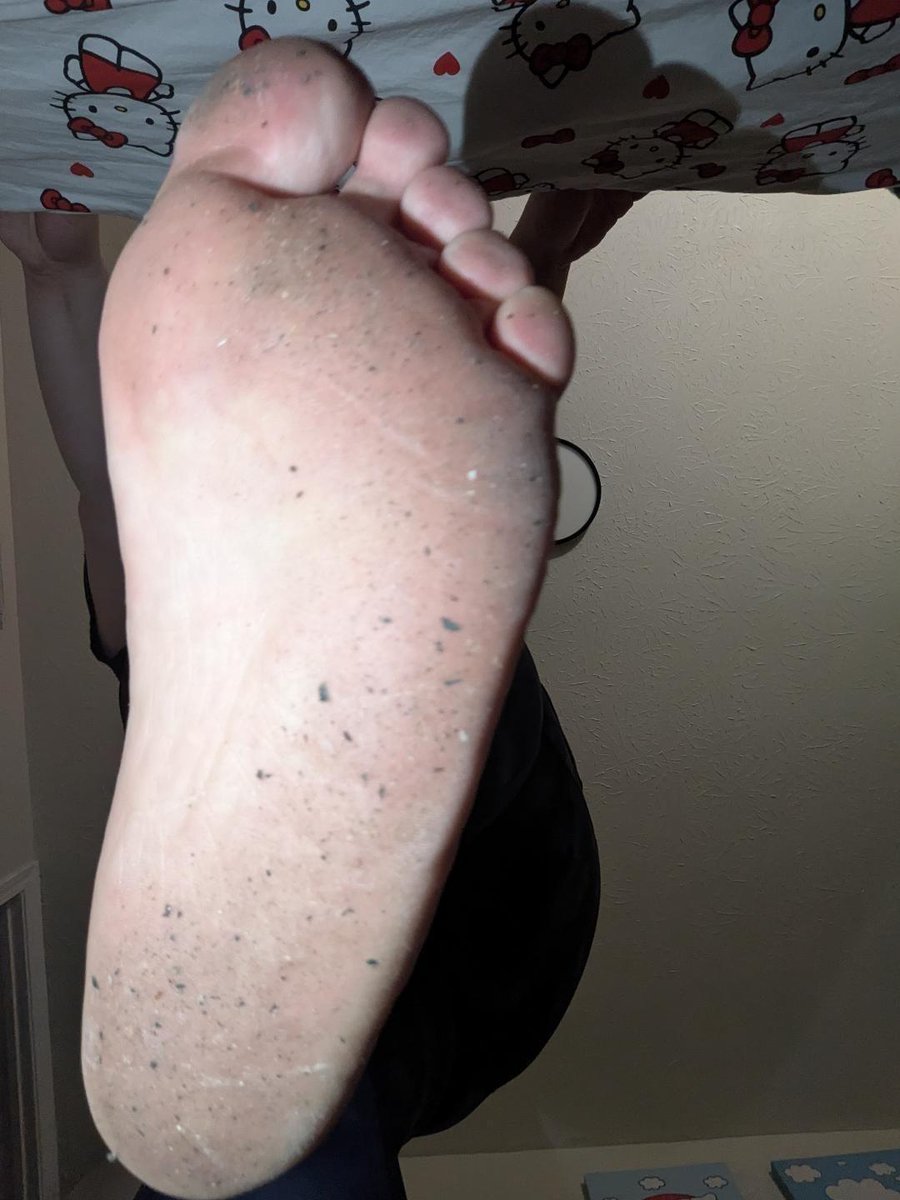 PrincessPanda tweet media