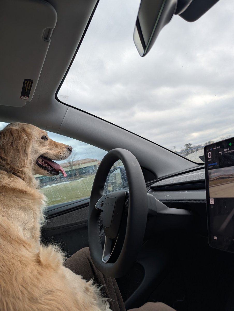 Nolan Hutwelker tweet media