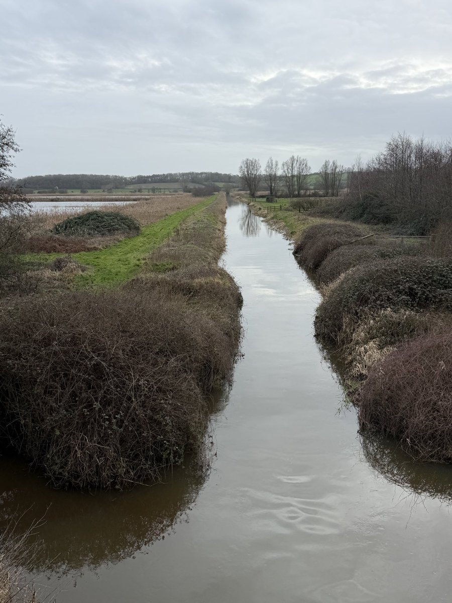 Jamie Lock Photographer tweet media