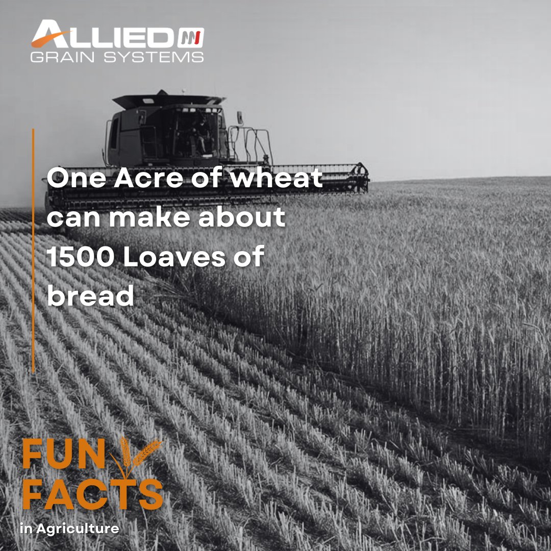 Allied Grain Systems tweet media