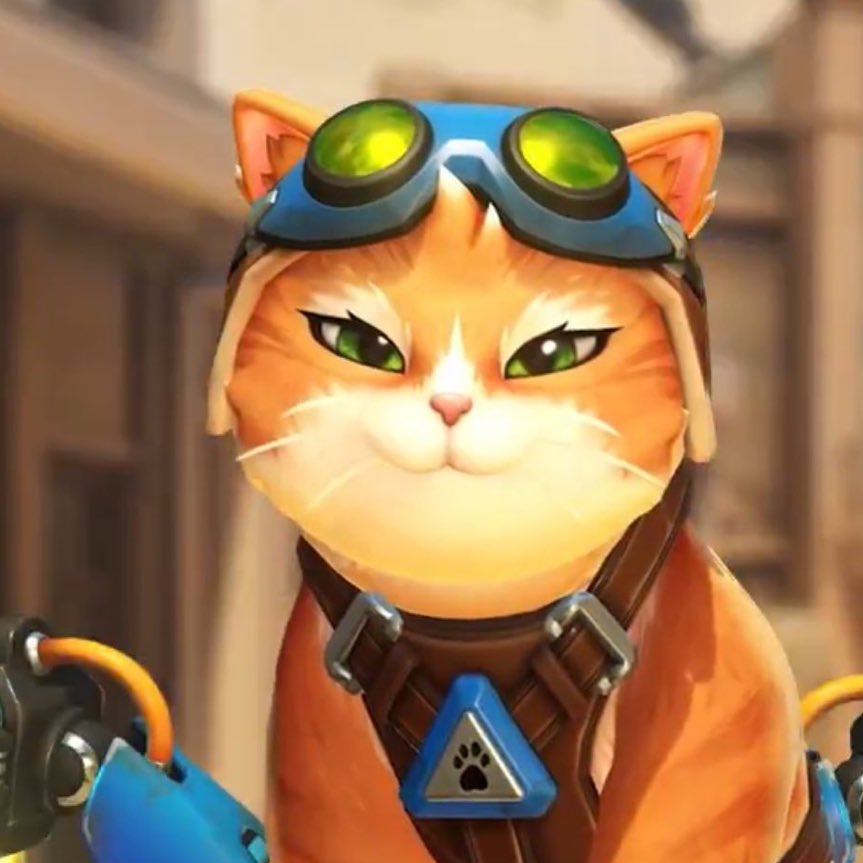 Jetpack_Cat_OW's tweet photo. 24 hours in, how’s everyone liking our girl? 🐾🐈 https://t.co/aWs6UIYVxZ