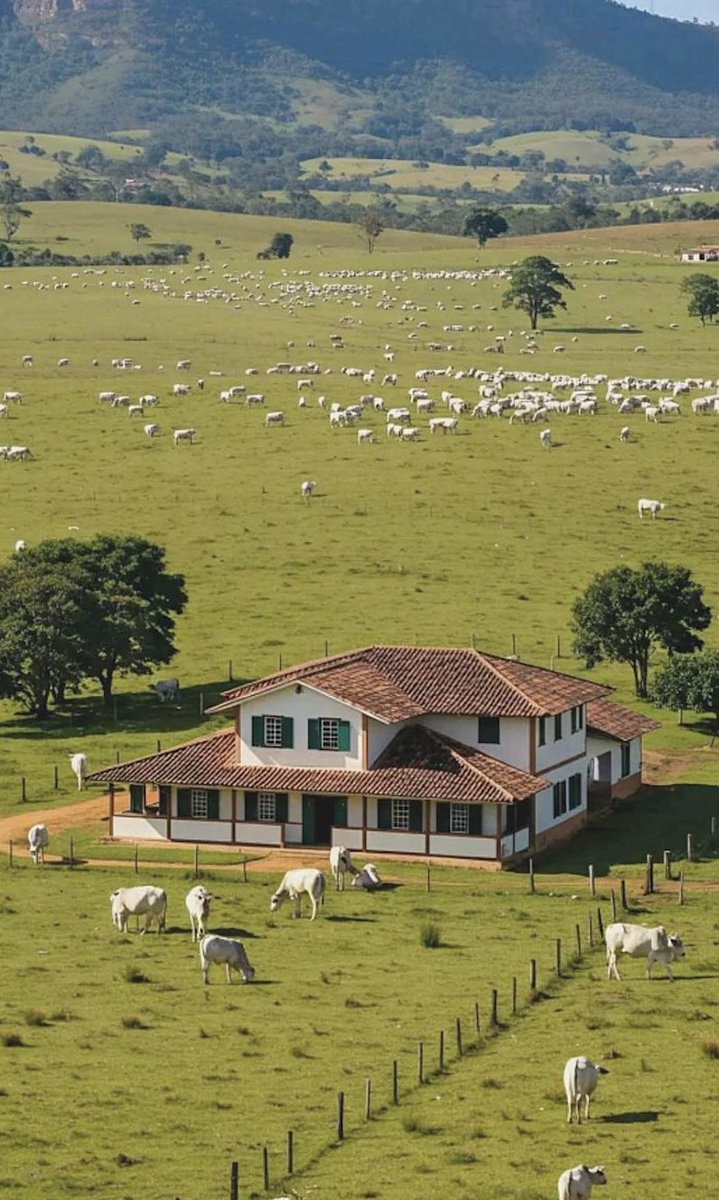 the real flex isn't buying a rolex or lamborghini

it's acres of land and livestock